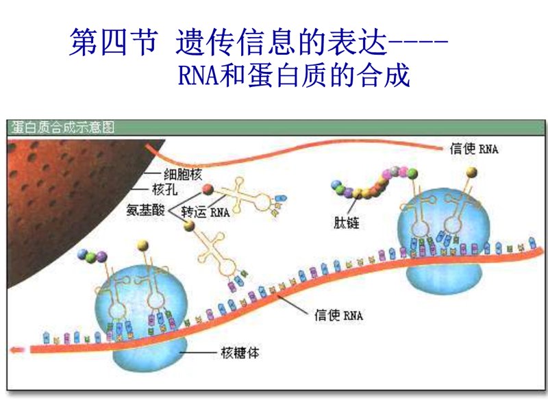 生物科技开启未来之门—郑州篇